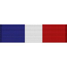 Georgia National Guard Selected Reserve Forces Ribbon